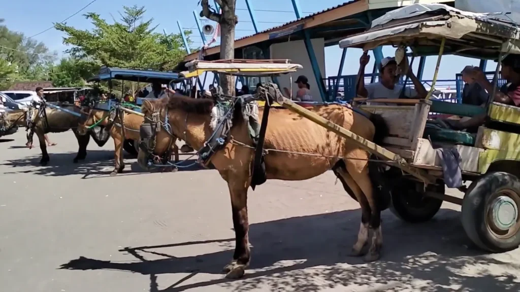 How To Get To Bangsal Port by traditional cidomo transportation in Lombok