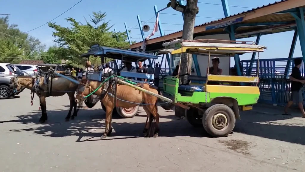 Around Bangsal Port transportation option with traditional cidomo near Bangsal Port Lombok
